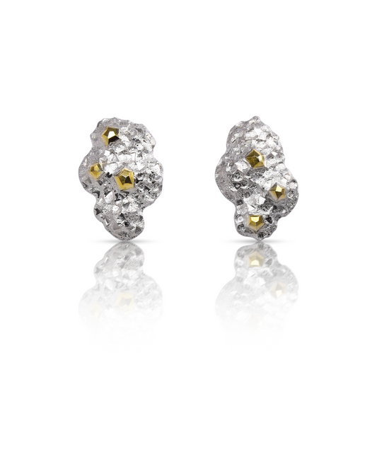 Rocky Silver Earrings